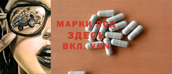 гашик Богданович