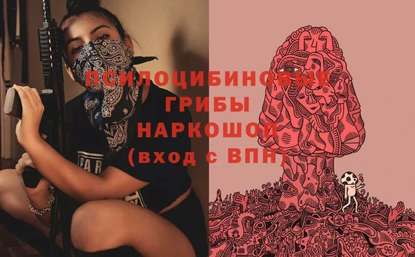 гашик Богданович