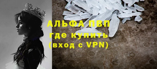 гашик Богданович