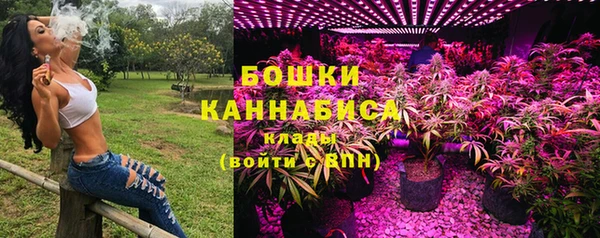 тгк Богородицк