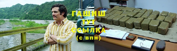 молекула духа Новозыбков